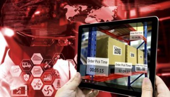 (zapp2photo - stock.adobe.com)