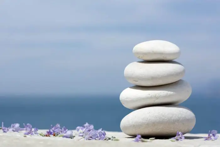 Toyota MH Austria – Kaizen und der Respekt vor der Nature gehören zu den zentralen Elementen der Unternehmensphilosophie. (Foto: twinlili / www.pixelio.de)