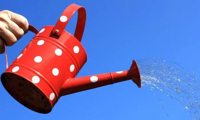 Konjunktur Deutschland – Fiskalisches Gießkannenprinzip freut viele, ist aber wenig treffsicher und fördert die Inflation. (Foto: Rike / www.pixelio.de)