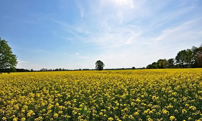 Lieferkettengesetz – Mit diesem Gesetz geht Deutschland den ersten Schritt in Richtung eines guten Wettbewerbs. (Foto: roja48 / www.pixelio.de)