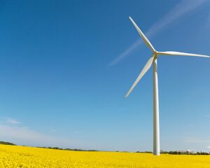 Jet H2 Energy – Tankstellen-Netzbetreiber JET will bis Frühjahr 2024 die ersten zehn Tankstellen für grünen Wasserstoff, der etwa aus Windkraft erzeugt werden kann. im Netz haben. (Foto: Petra Bork / www.pixelio.de)