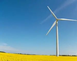 Jet H2 Energy – Tankstellen-Netzbetreiber JET will bis Frühjahr 2024 die ersten zehn Tankstellen für grünen Wasserstoff, der etwa aus Windkraft erzeugt werden kann. im Netz haben. (Foto: Petra Bork / www.pixelio.de)