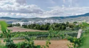 Digitalisation – NÖM in Baden is investing in a state-of-the-art high-bay warehouse to ensure reliable deliveries. (Photo: Mario Pampel / NÖM / HJS)