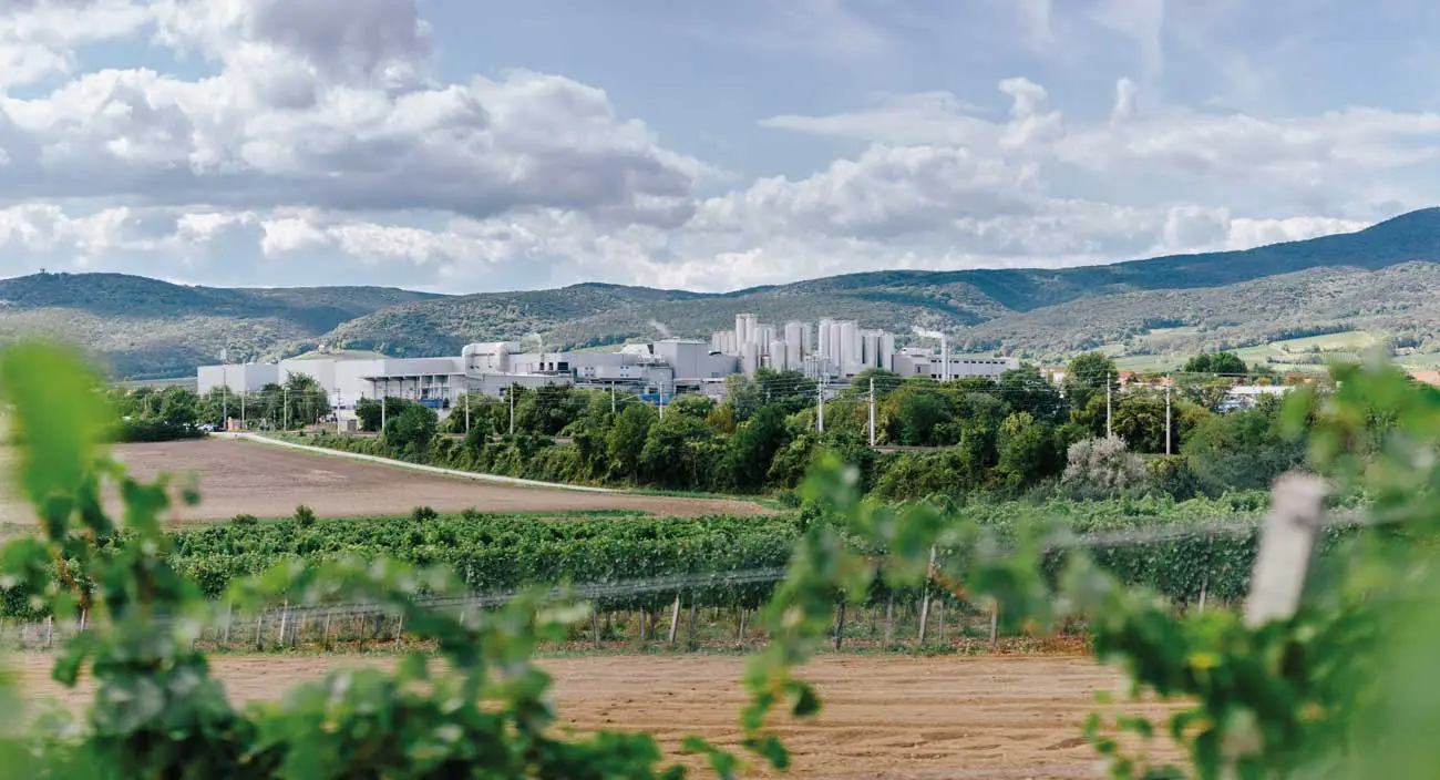 Digitalisation – NÖM in Baden is investing in a state-of-the-art high-bay warehouse to ensure reliable deliveries. (Photo: Mario Pampel / NÖM / HJS)