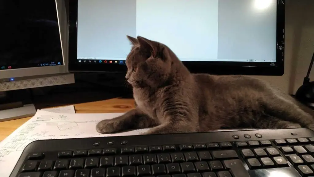 Homeoffice - Es spricht ­in einigen Branchen wie etwa in der IT eigentlich nichts für eine Abkehr vom Homeoffice. (Fopto: Paulwip / www.pixelio.de)